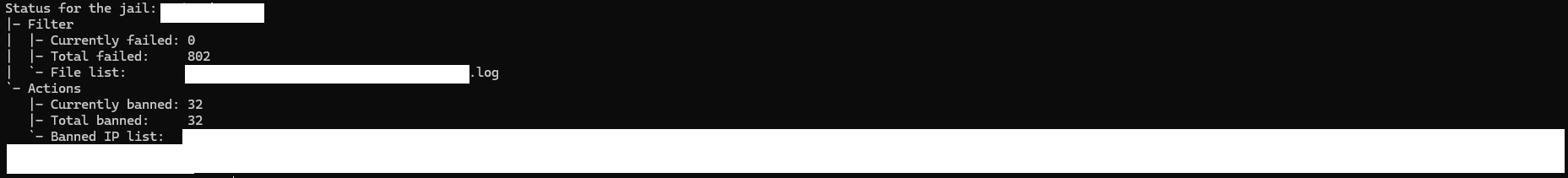 Detailed fail2ban jail report showing how many failures, the log from where it is reading, total bans and a list of banned IPs